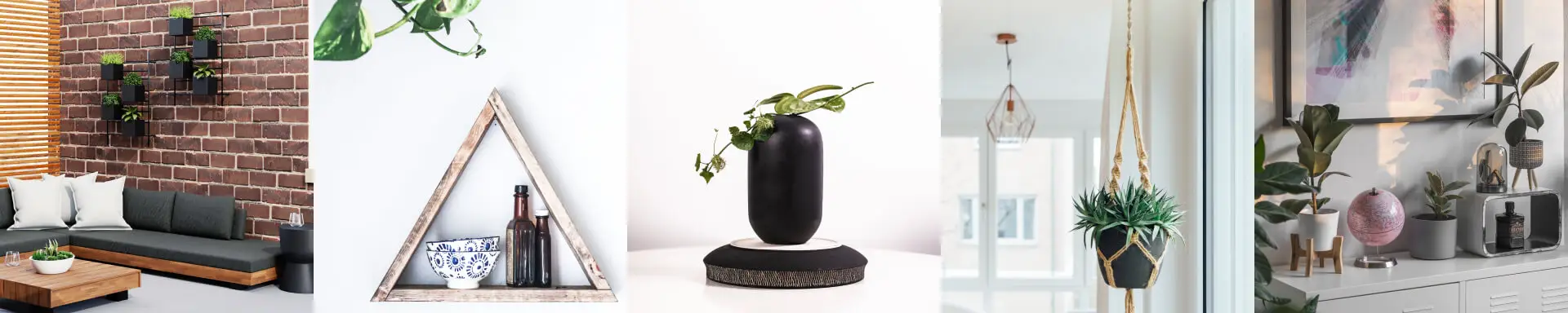 topreview home item